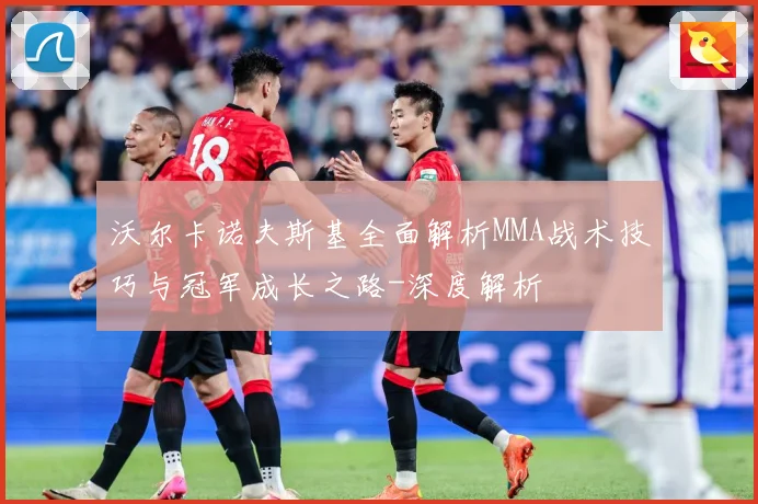沃尔卡诺夫斯基全面解析MMA战术技巧与冠军成长之路-深度解析