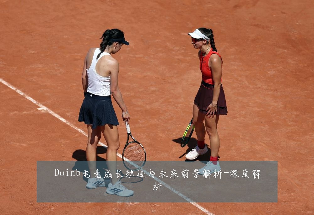 Doinb电竞成长轨迹与未来前景解析-深度解析
