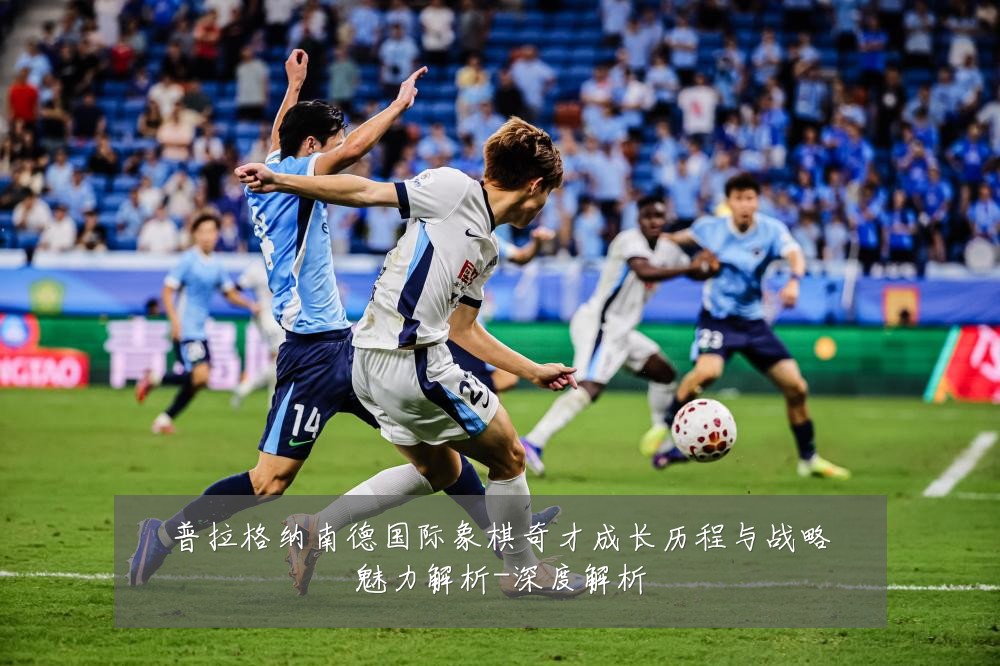 普拉格纳南德国际象棋奇才成长历程与战略魅力解析-深度解析